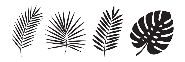 Tropical leaves vector set isolated on white background palm tree leaves and monstera leaf design elements © Mukti
