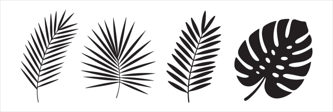 Tropical leaves vector set isolated on white background palm tree leaves and monstera leaf design elements
