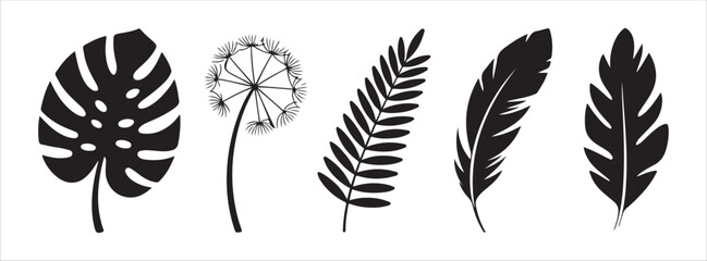 Monstera leaf dandelion fern feather palm leaves vector silhouettes set tropical plants and exotic flora graphics © Mukti