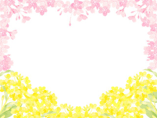 菜の花と桜の春の背景イラスト