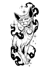 black cat on a white background vector