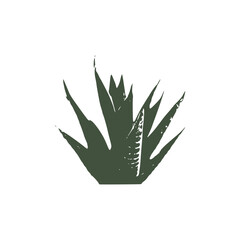 Aloe Vera Leaf Silhouette Illustration