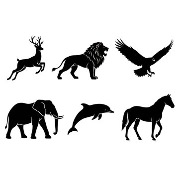 silhouette of animel in the jungle