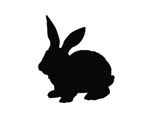 Obraz premium A cute fluffy black rabbit and an adorable white bunny are isolated on a white background, featuring soft fur and long ears as domestic young pets