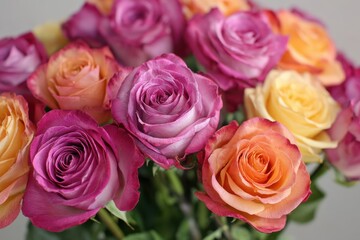 Naklejka premium Beautiful bouquet of roses in vibrant pink, purple, and yellow tones with delicate petals and lush greenery, perfect for celebrating love and joy in floral-themed designs