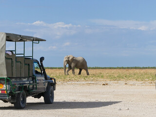 Safari vehicle observing elephant in African wilderness, Namibia safari © Evi