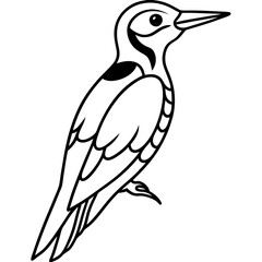 Fototapeta premium Woodpecker line art vector
