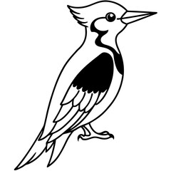 Woodpecker line art vector