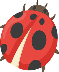 Obraz premium illustration ladybug