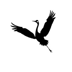 Naklejka premium Red-Crowned Crane Silhouette in Flight