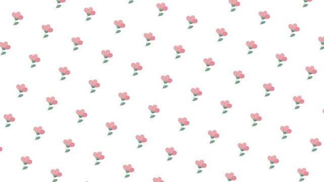 Soft Pink Hand drawn Floral Seamless Pattern Animation Video Loop