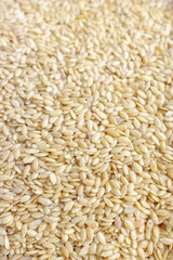 Close up photo of golden flax seeds, selective focus.