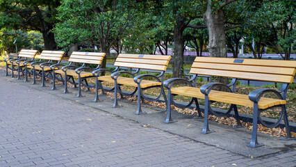 落ち葉が散らばる冬の公園の歩道脇に一列に並ぶベンチ
