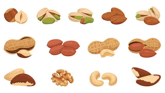 Assorted varieties of nuts including walnuts, almonds, pistachios, cashews, peanuts, and hazelnuts arranged in rows on a white background.