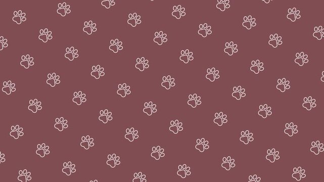 Seamless Paw Print Pattern Pet Animal Background Animation