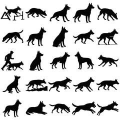 Obraz premium Silhouette of a Dog's Lower Body and Legs in Black