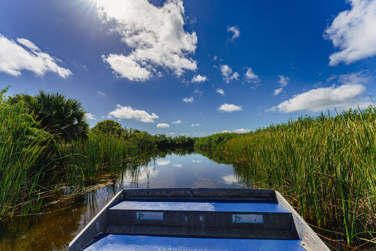 Airboat navigating a narrow freshwater channel through tall sawgrass and lush vegetation under bright sunshine in Everglades National Park, Florida, USA, showcasing the iconic River of Grass
