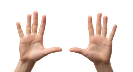 Two open human hands isolated PNG on transparent background, showing palms and fingers for gestures and expressions