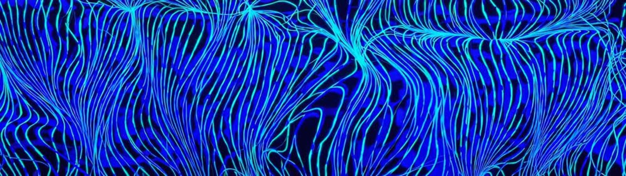 Blue and black swirling patterns background