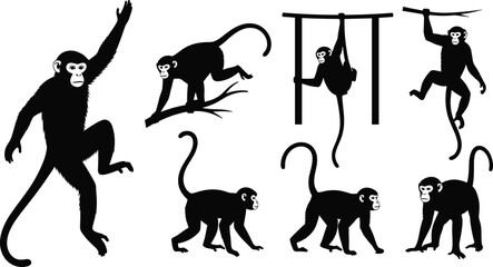 Monkey silhouette illustration set showing chimpanzee movements climbing jumping hanging walking playful animal poses isolated on white background vector design collection © Art_By_Aktarina