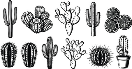 Vintage cactus illustration set, hand drawn desert succulents, black and white botanical icons collection isolated on white background vector printable design © World_Of_Vector