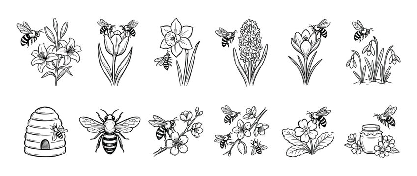 Hand-drawn black and white illustrations of bees pollinating various spring flowers, including a beehive, honey jar, lily, tulip, and daffodil in a vintage sketch style