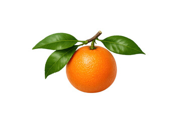 Fresh orange fruit with green leaves on stem, vibrant citrus rich in vitamin c, healthy eating concept
