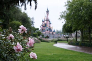 Naklejka premium Pink roses in garden with fairytale castle in background