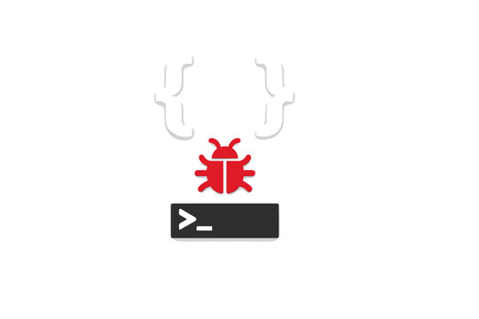 Graphic shows a bug icon and code symbols representing programming and debugging process in software development