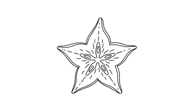 Black and white line art drawing of a single starfruit slice showing its unique five pointed star shape and seeds.
