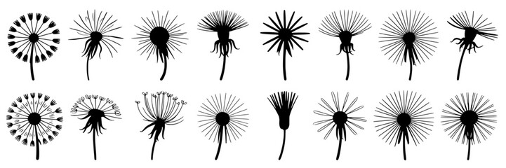 Dandelions line art set with various stages of bloom and seed dispersal, black and white minimalist illustration featuring dandelion, nature, plant with vector and botanical elements for floral,