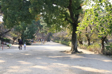 夙川公園(兵庫県西宮市)を散歩するおじいちゃんと孫(横長)