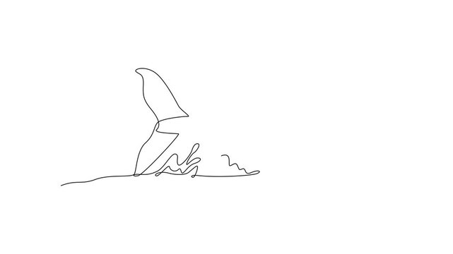 Large Shark Fin Breaking Surface. Sea Animals Concept. Single line draw design Video 4k. Footage graphic illustration