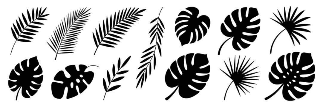 Tropical leaves silhouette set with monstera and palm fronds, black botanical foliage icons isolated on white, minimal jungle plant collection for design elements