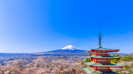 富士山と満開の桜・新倉山浅間公園