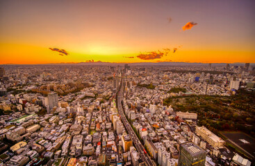 東京大都会夕景と富士山