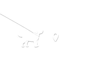 Dog stands at a location point with a leash in a simple scene considering outdoor activities during day time