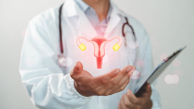 Doctor using digital technology to visualize female reproductive system and uterus health. Concept of gynecology, women healthcare, medical innovation, fertility care, diagnosis, and healthcare 
