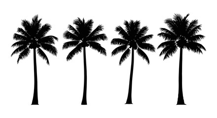Obraz premium Silhouettes of Four Coconut Palm Trees on a White Background