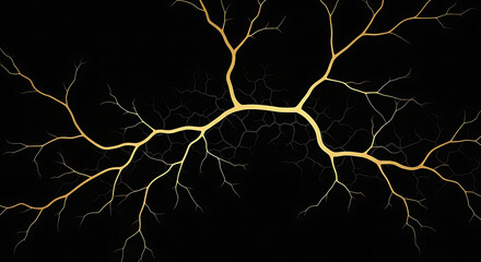 kintsugi golden cracks branch across a black background symbolizing resilience strength and beauty in imperfection and elegant repair.