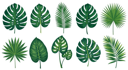 Vibrant Collection of Diverse Tropical Leaves on White Background © Refina