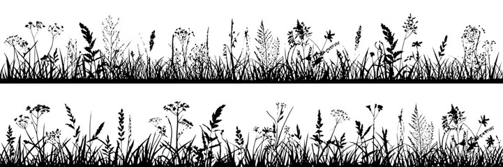 Plants wildflowers set with various species and intricate details in black and white featuring nature, detailed, botanical with illustration and collection elements for background, floral projects,