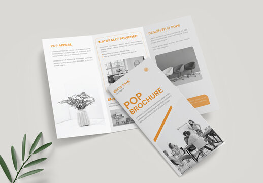 Clean Pop Brochure Layout