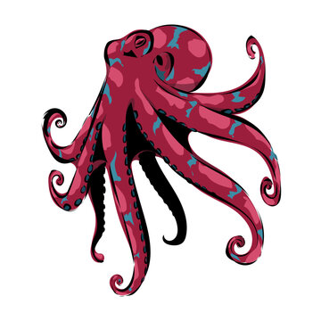 Oktopus 