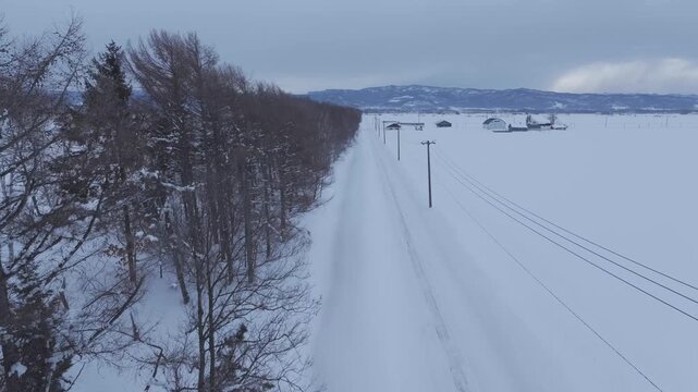 雪原の樹木を抜けるドローン_001_Snow_002