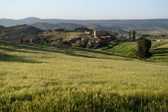 Campagne du Moyen Atlas pr&egrave;s d'Azrou
