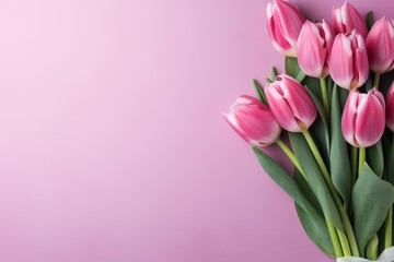 Fototapeta premium Bunch of pink tulips with green stems creating a fresh spring composition