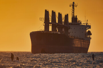 A close-up of a cargo icebreaker sailing across the frozen sea at sunset © ILIA