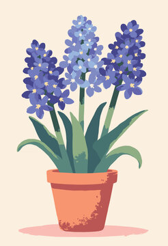 Hyacinth flower Sonbol decorative pot Spring equinox symbol Flat