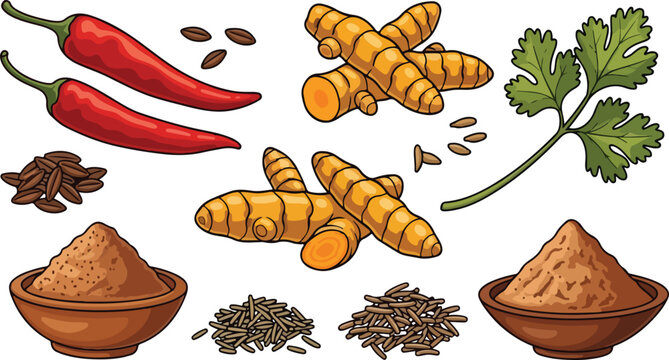 Vibrant illustration showcasing essential exotic culinary spices including turmeric roots chili peppers and coriander leaves on transparent background